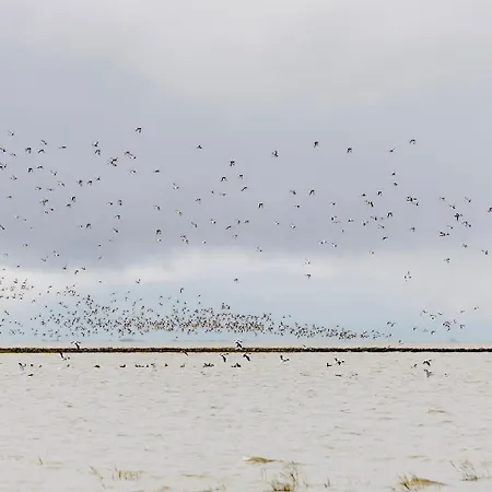 Nordwind Σπίτι διακοπών *