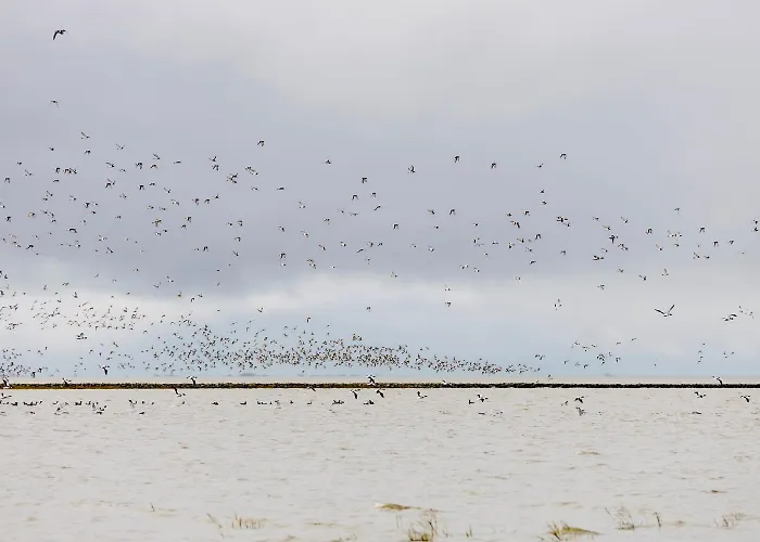 Nordwind بيت للعطل *