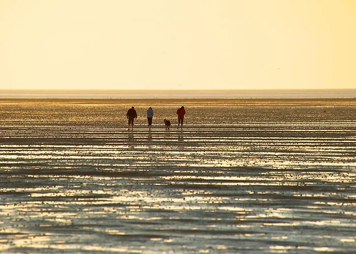 Nordwind دورم نيوفيلد